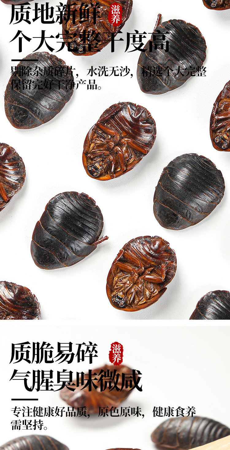 Tu Yuan Dried Ground Beetle 土元 Whole Insect TCM Herb 500g Traditional Decoction Ingredient quality and texture