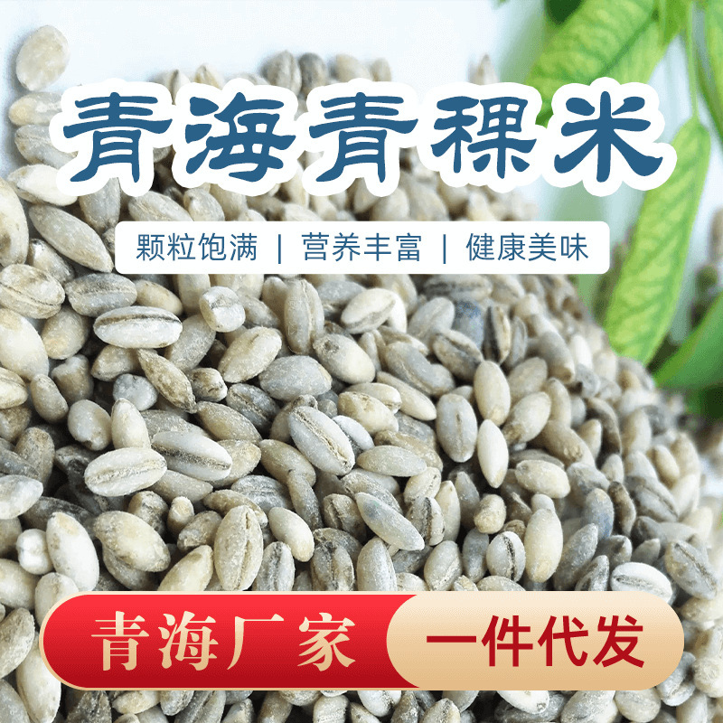[Qinghai Straight Hair] Qinghai-Xizang Plateau Highland Barley Rice Healthy Coarse Grain Sugar Friends Low Sugar Cereals Highland Barley Kernel