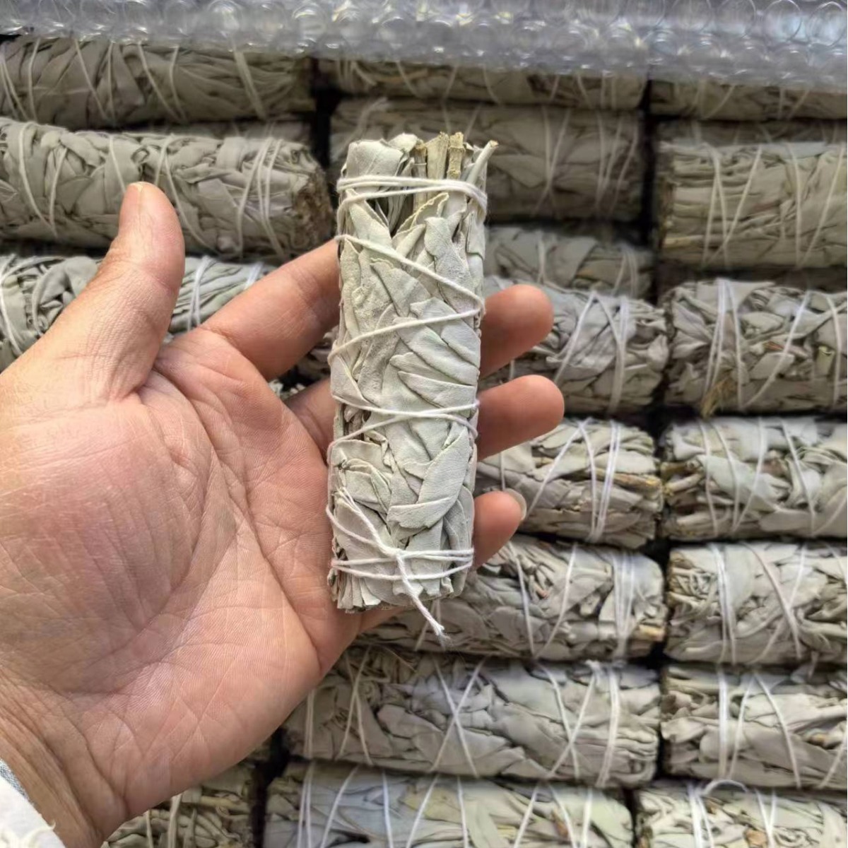 白鼠尾草アメリカカリフォルニア州ホワイトセージはアロマステッキを縛って空間を浄化します。