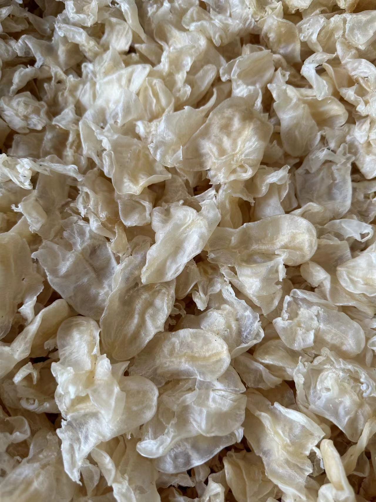 微信图片_20230212151246