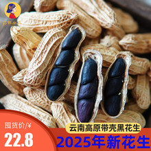 2024云南特产富硒黑花生味甜带壳花生米特级袋装饱满种子零食包邮