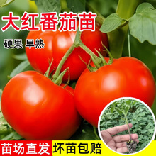 ��t������������Ʒ�N�ڸд�����t�����ļ�ˮ�����̨����������