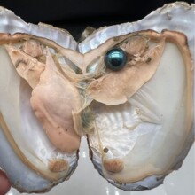 ��յ�ˮ�����l��ˮȾɫ�����c��ˮȾɫ����Ӱ���հ��b���Q��Ʒ