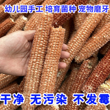 ������о�r���ԷN�����װ���о�׃��@�ֹ�����|�����B���N����о