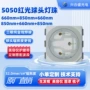 生发纯金红光5050灯珠