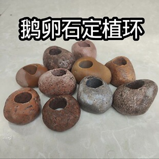 ˮ�ݹ̶��Nֲ����~���쾰����