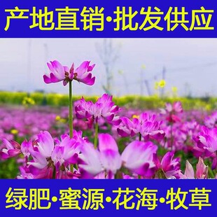 ���@�ϻ���ޣ�t���ݲ���ֲ������Դ�������Ӣ�N���ϻ��G�����Ӣ