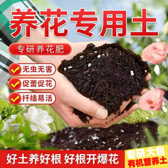 营养土通用型养花种菜专用土园艺种植土泥炭土壤植物椰糠土批发