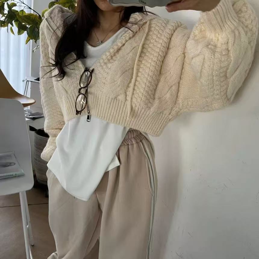 Otoño y invierno nuevo casualidad con capuzas con cremallera de manga larga camiseta de punto coreana para reducir la edad suéter corto de torsión suelta para mujeres image 4
