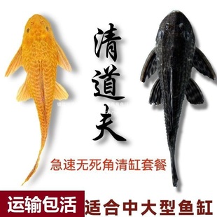 �S���坍8�Ꭷ�����FY�Բ���������������~����ˮ�~�~�~�^�p�~