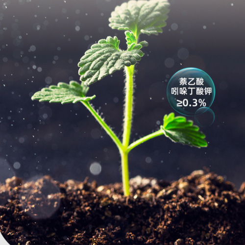 Wholesale plant rooting liquid rooting powder gardening household flower fertilizer universal nutrient solution dropshipping