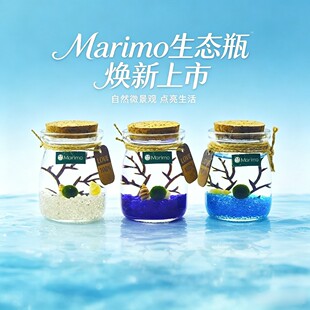 ������΢���^marimo���Bƿˮ��G������ֲ�����沣���Y���S�ƿ