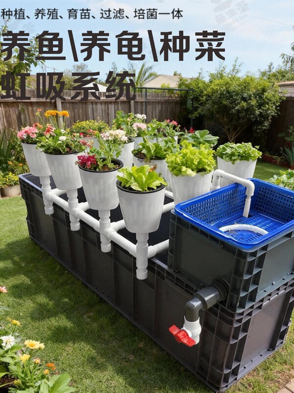 Fish-Garden Tidal Vegetable Growing Machine, Large-Capacity Fish-Garden Symbiosis System, Flower Pots, Flower Racks, Siphon System Fish-Garden Tidal Vegetable Growing Machine, Large-Capacity Fish-Garden Symbiosis System, Flower Pots, Flower Racks, Siphon System