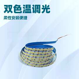 批发24V低压贴片240珠双色温灯条12v吊顶柔性智能调光三色灯带