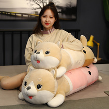 �̲������L����ë�q��߄��⹫�����ջ����ż��ͯ��˯���޴��l