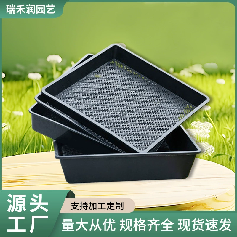 Лотки для рассады, плоские лотки, лотки для проращивания, лотки для рассады с отверстиями, лотки для проращивания овощей, лотки для рассады орхидей дендробиум, оптом