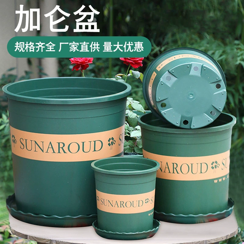 Ganoderma ganoderma рассада галлон горшок бытовой утолщения пластиковый цветочный горшок с цветочным балконом гостиная зеленая лора большой галлон цветочный горшок