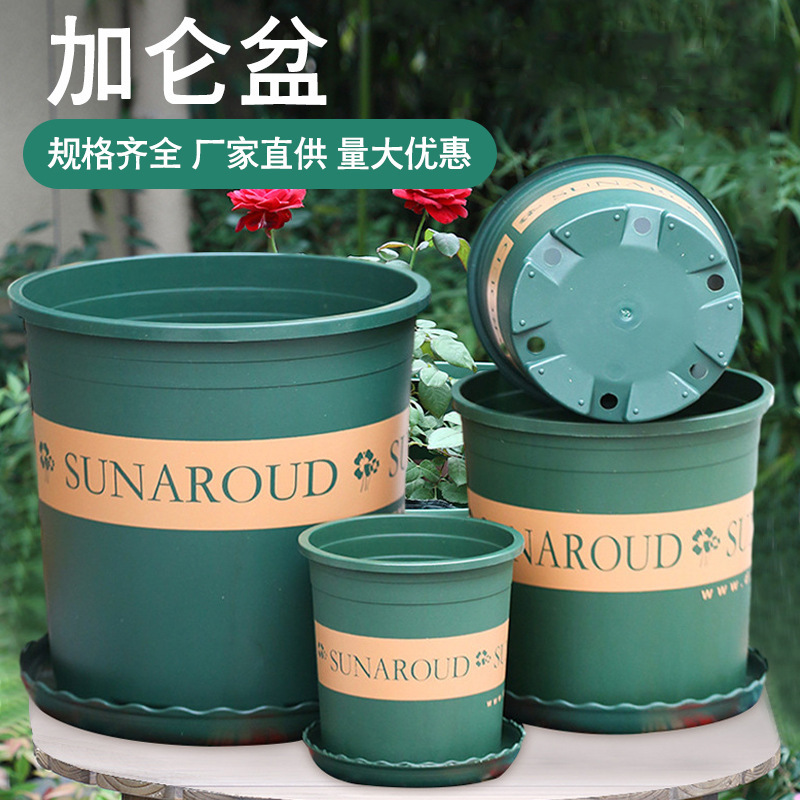 Ganoderma seedling gallon pot household thickened plastic flower pot flower balcony living room green radish large diameter gallon flower pot