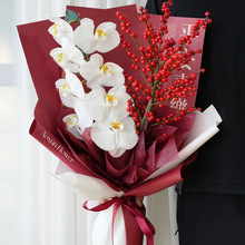 2026������L���b������ϲ�c�͹Ŵ����Y�����նYƷ���b���زļ�