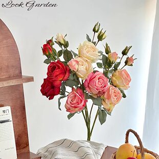 ��ʽ�͹Ž�߅õ����^�ͮ��������ɻ������������ٻ��[�O