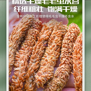 �����M��ëë�xˮ̦�����mˮ̦���Ǹ�̦�\�m���I�B��̦�\ֲ��