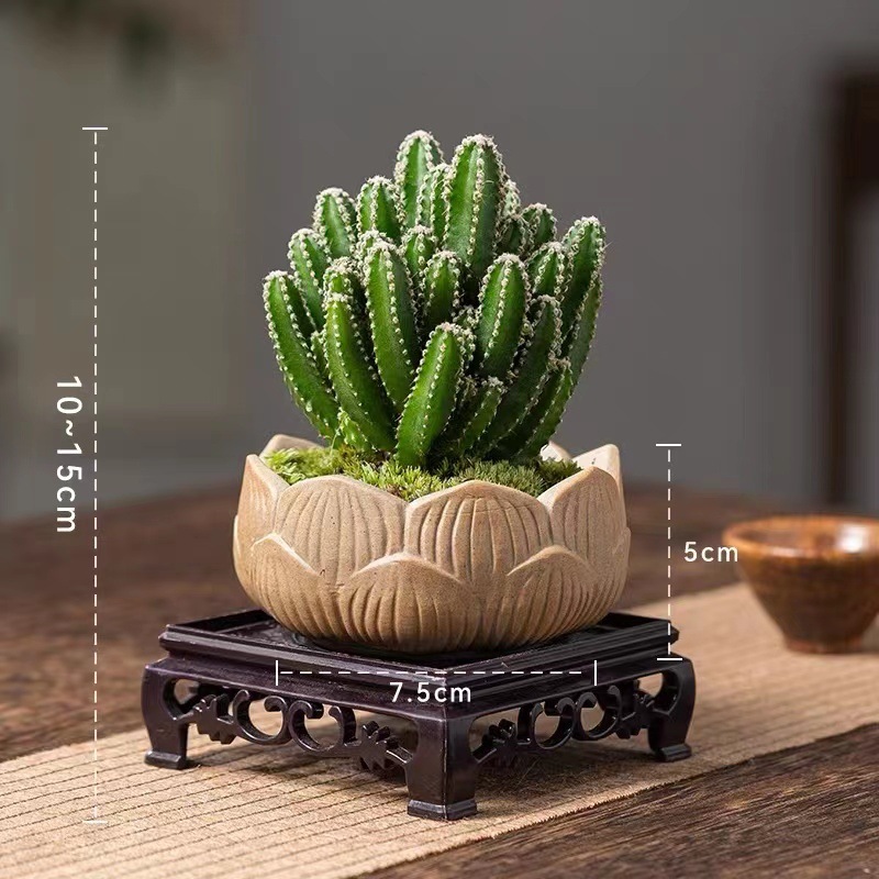 99bbc9a7-6c7a-4436-8a03-8b2b5b2c23bc.jpe