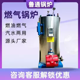 蒸汽发生器;燃气锅炉;燃生物质锅炉