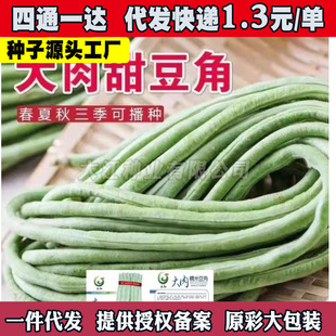 ���óԴ����ﲥ�𶹽ǷN�Ӵ���Ŵ�װ��L���ǰ����L�����׷N�߲���