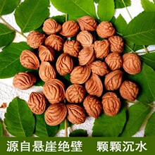 龙纹山桃核桃胡野生原籽疙瘩龙金鱼肚龙纹桃核密脑纹手串原料包邮