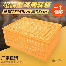 �����u�\���D����u���Z�������D��Ӻ��û\���ӻ\�u�\���B��̫��