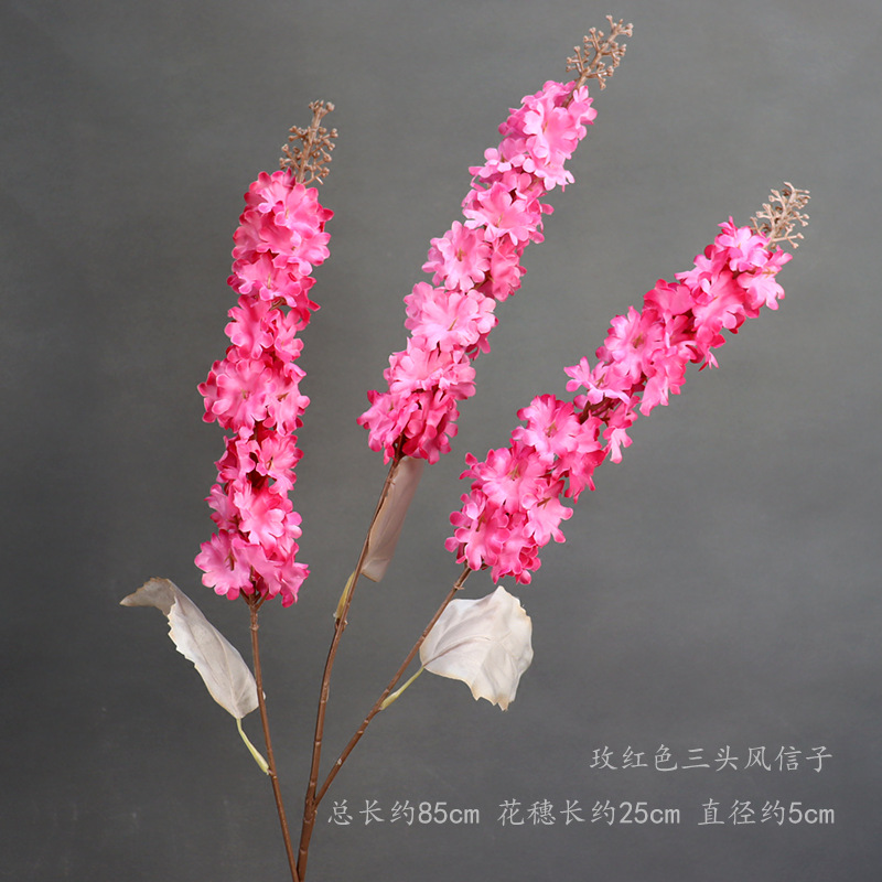 Rosa roja de tres cabezas Hyacinth