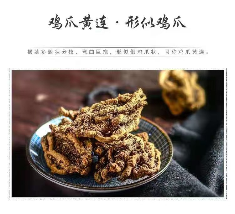 Sichuan Huang Lian (Coptis chinensis) — Dried Bitter Herb Slices & Fine Powder key features