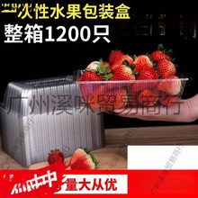 一次性水果包装盒草莓包装盒两斤装PET透明塑料水果盒烤鸭盒