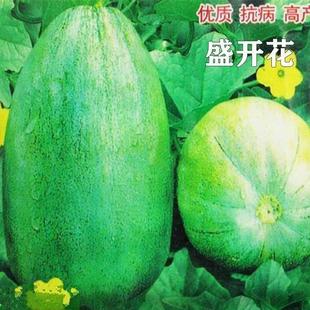 ʢ�_����ϷN�ӳ�������ѾGƤ�G�����촺�＾�N�Ϲ��N���½�