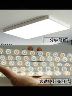 ��픟�led�L�l����о��ɫ���l��Q͸�R���l15cm�S���NƬ�����o��