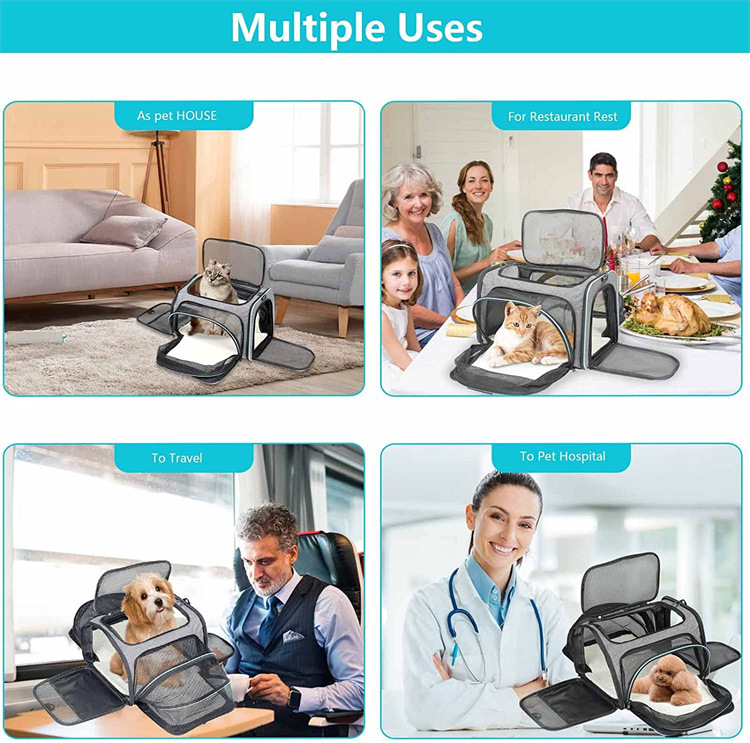 Title 5, Pet Cat Bags Airline Approved Expandable Foldab...