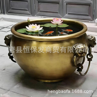 �~����~�T���p���׹���׷¹ʌm�~�׹�˾ͥԺ�T�ڔ[���S�����l