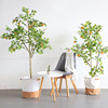 厂家批发仿真绿植柠檬树盆栽室内装饰假树人造植物客厅落地假树|ru