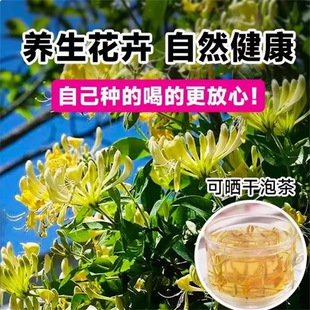 ���y�������ʳ��ș����Ϙ��ļ��_���������̨ͥԺ����ֲ��Gֲ