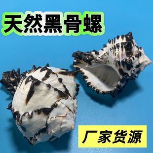 ˮ�����~���b���ؐ����ؐ�~�ľ�з����ˇƷ���������쾰�[��