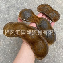 【马眼果壳】进口干花不凋花装饰摆设拍照道具插花天然植物鱼缸置