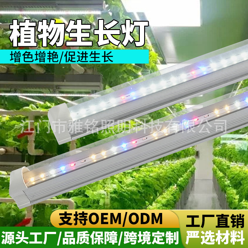 T8日光管LED植物生长灯全光谱水培蔬菜补光灯温室大棚无土栽培灯