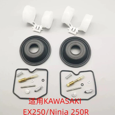 C / ZX11 | Motorcycle engine and accessories - 007-kawasaki-ex250ninja-250r