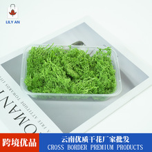 ������A���Z¹�\ɺ������̦DIY�ֹ����΢���^������̦�\����