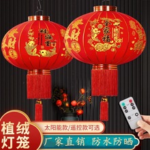 ��t���\��ϲ�c�����̨�r����Tֲ�q�����\��������b��c����