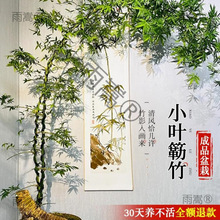 С�~�{���Ʒ�辰�����Ϙ��U�������҃��k���������ļ��͏d�Gֲ��