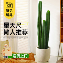 ������������Gֲ���������ƴ���ֲ���҃ȿ͏d��ض��ⵓֲ���B��