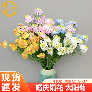 ̫ꖾշ��滨 4�^̫ꖻ��Wʽ��Y���쾰��������Gֲ�b�ˇ�Ҿ�
