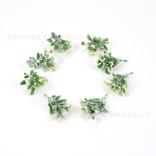�¿����Gֲ�S��ľˮ���~�� DIY��c�b�������������Y���b�