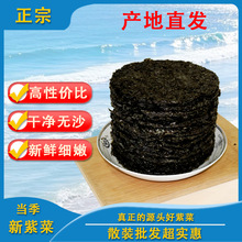紫菜圆饼批货干货无沙头水天然原味新货散装商用当季新货批发